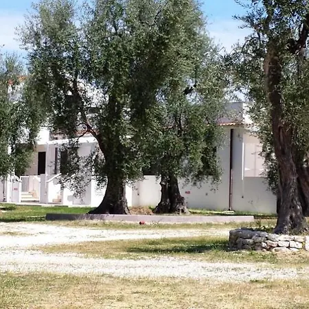 Medina *