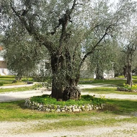 Medina Semesterbostad Vieste