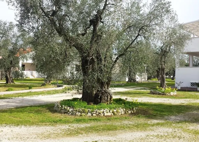 Medina בית נופש ויאסטה